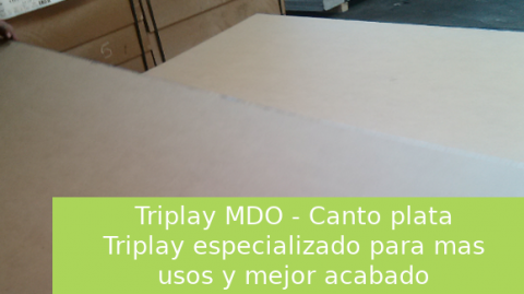 Triplay Fenolico MDO Palo Solo